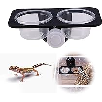 Amazon | TVETE 爬虫類 餌入れ 爬虫類の餌と水の皿 の餌のボウル 【2皿